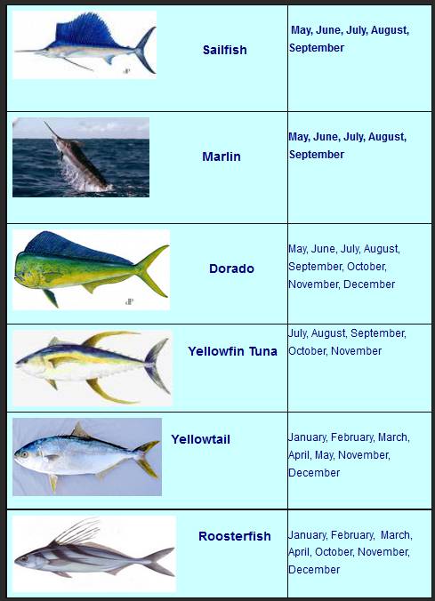 Turks And Caicos Fishing Chart